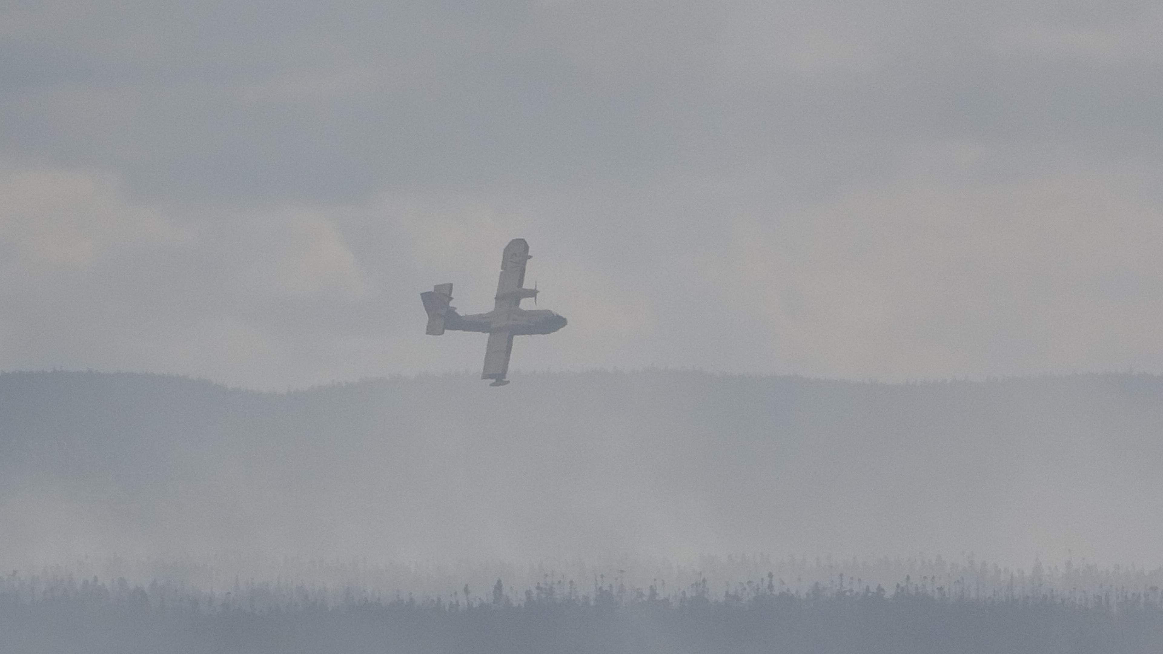 Кралската констабула на Нюфаундленд RNC е повдигнала обвинение на 20 годишен