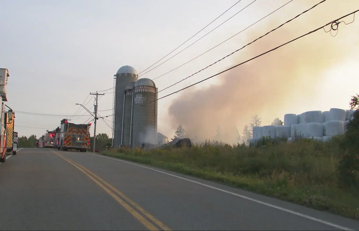 No people were injured and less than ten animals were saved, officials said.