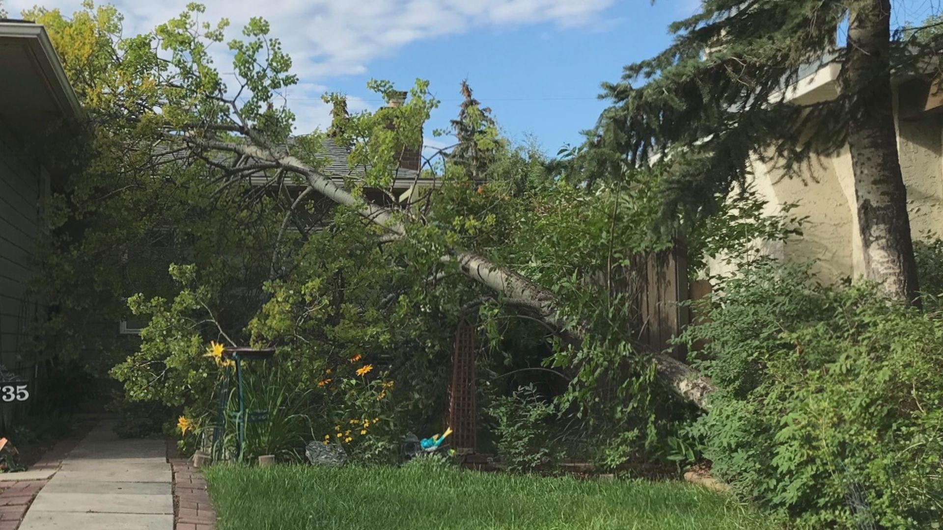 Кристен Скот нарече северозападния квартал Калгари на Силвър Спрингс дом