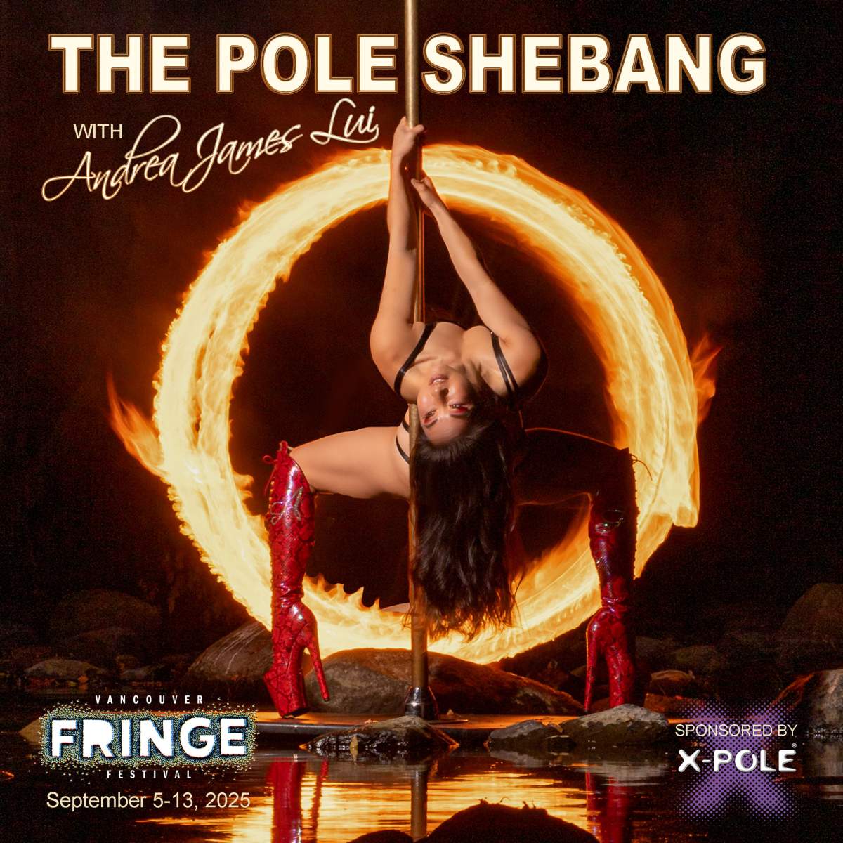 THE POLE SHEBANG at Vancouver Fringe Festival - image