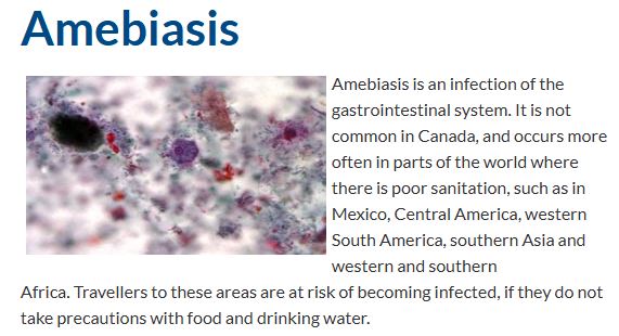 Soaring number of E. coli cases believed linked to popular Calgary-area restaurant - image