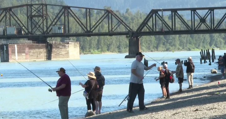 риболовците за отдих ще имат рядък шанс да се опитат