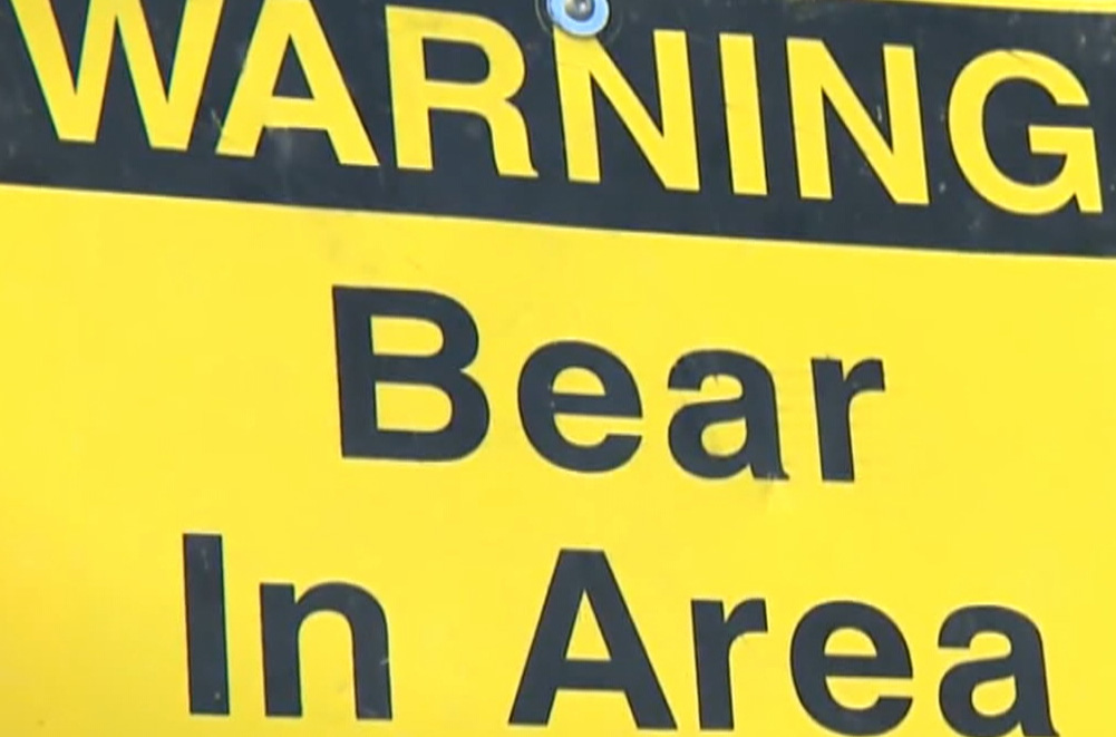 Alberta's parks minister said a bear with cubs may have been acting defensively when it attacked an angler on the Milk River, near the Alberta-Montana border last weekend.