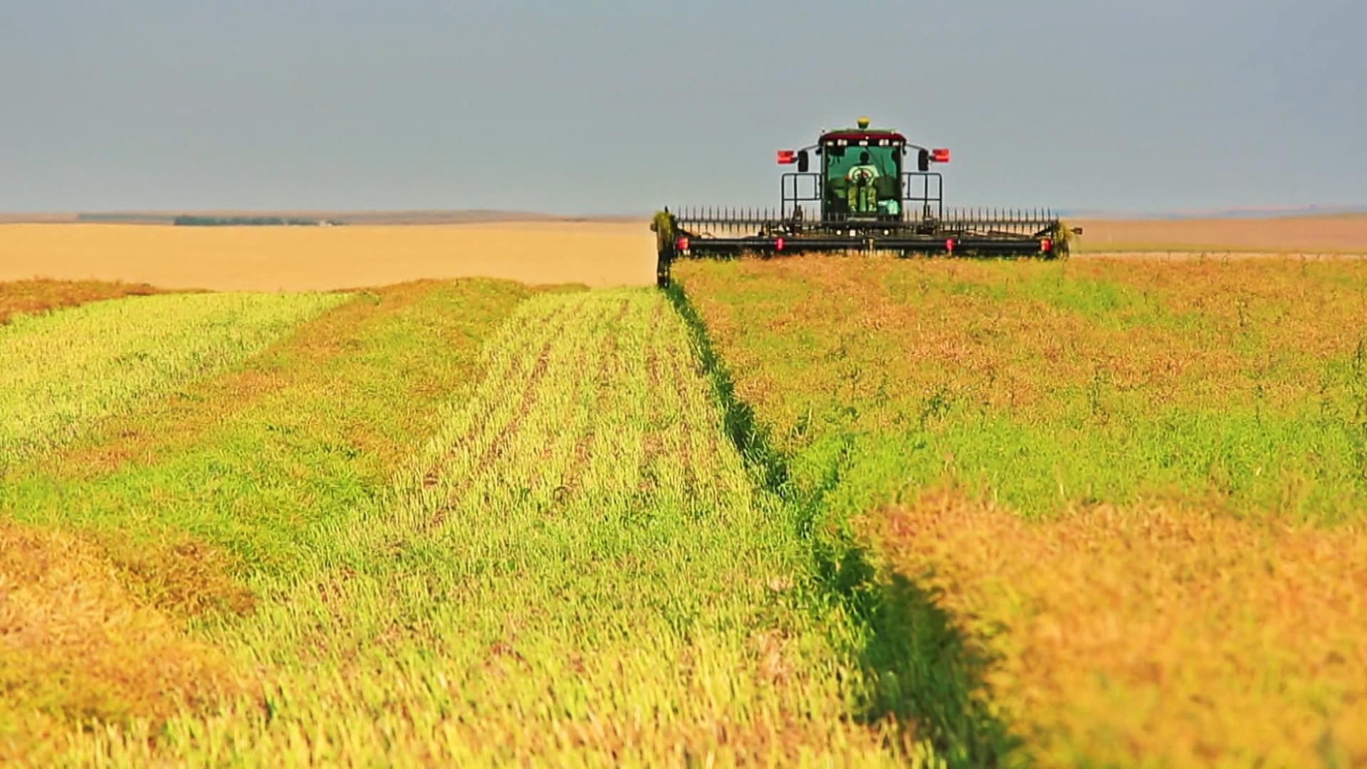 Фермерите в Саскачеван казват че продължават да се чувстват оптимистично