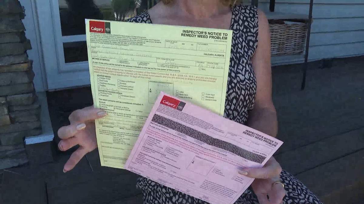 Queensland resident Angela Hendry shows off the warning she was given by Calgary bylaw for foxtail that was growing in the alley behind her house.