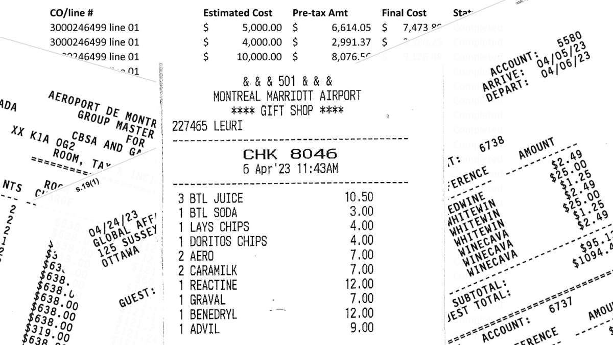 Expense reports released under Access to Information Act on costs of repatriating Canadian ISIS women and their kids.
