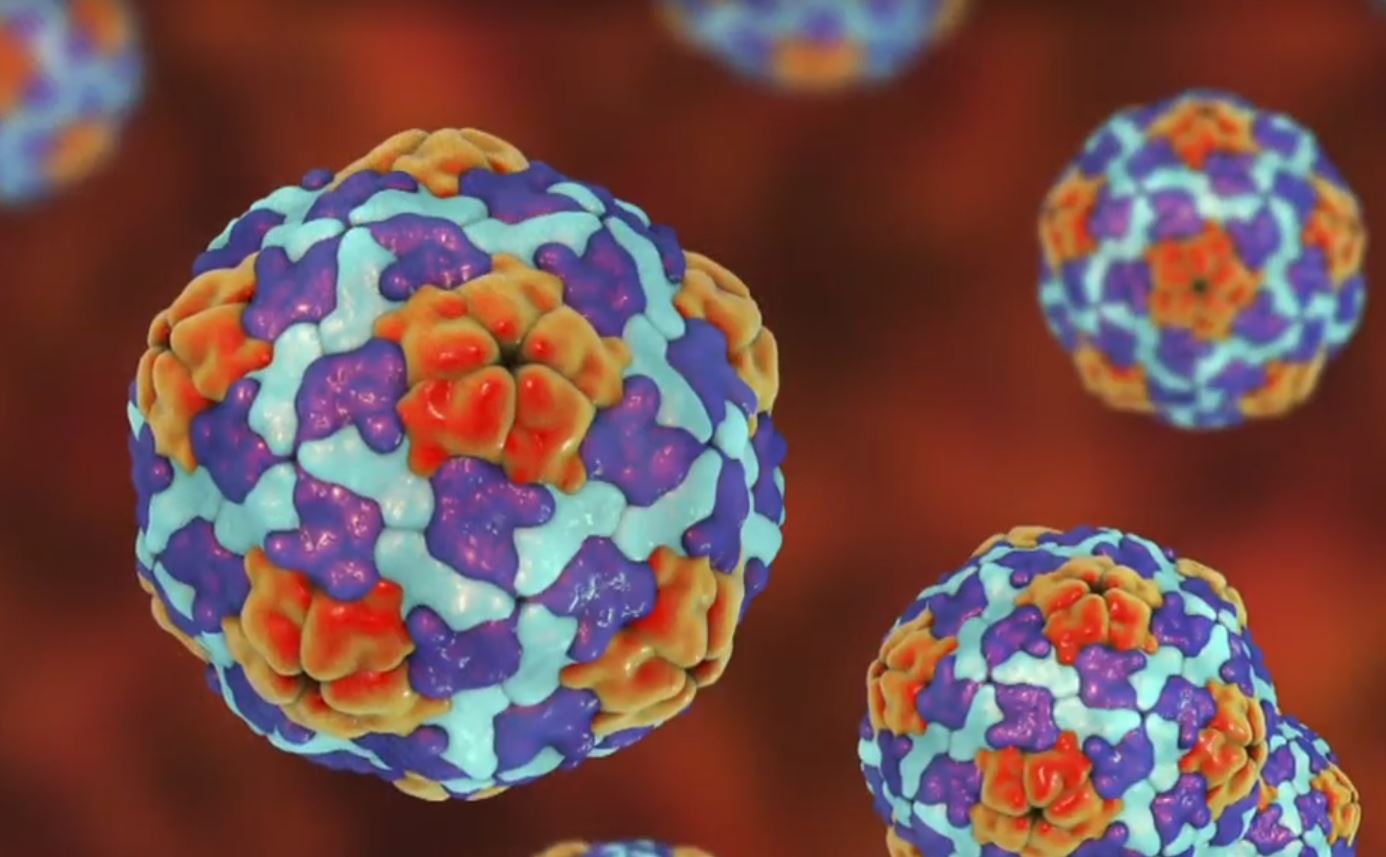 Manitoba Health Officials Say Ongoing Hepatitis A Outbreak Has Worsened - Beritaja