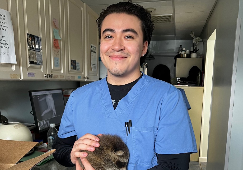 Kevin Mares was fatally shot while visiting Puerto Rico for a Bad Bunny concert.