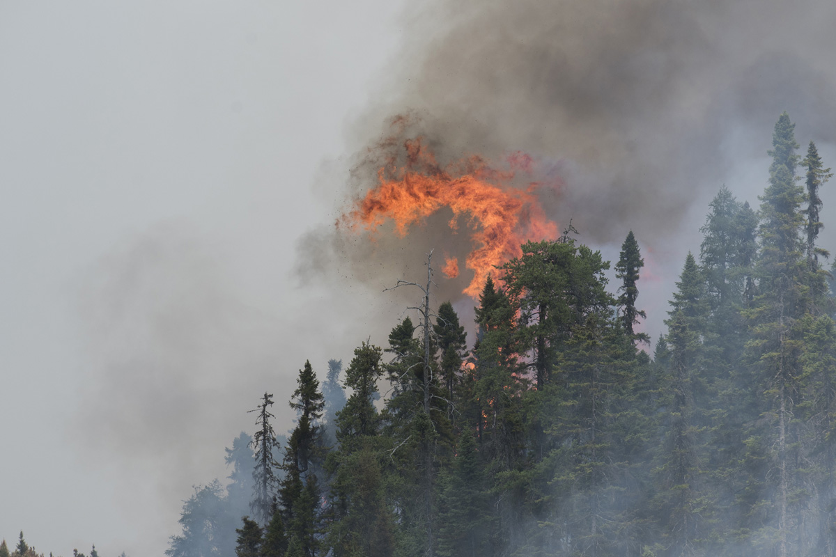 Масивен пожар в близост до Мирамичи Н Б продължава да бъде