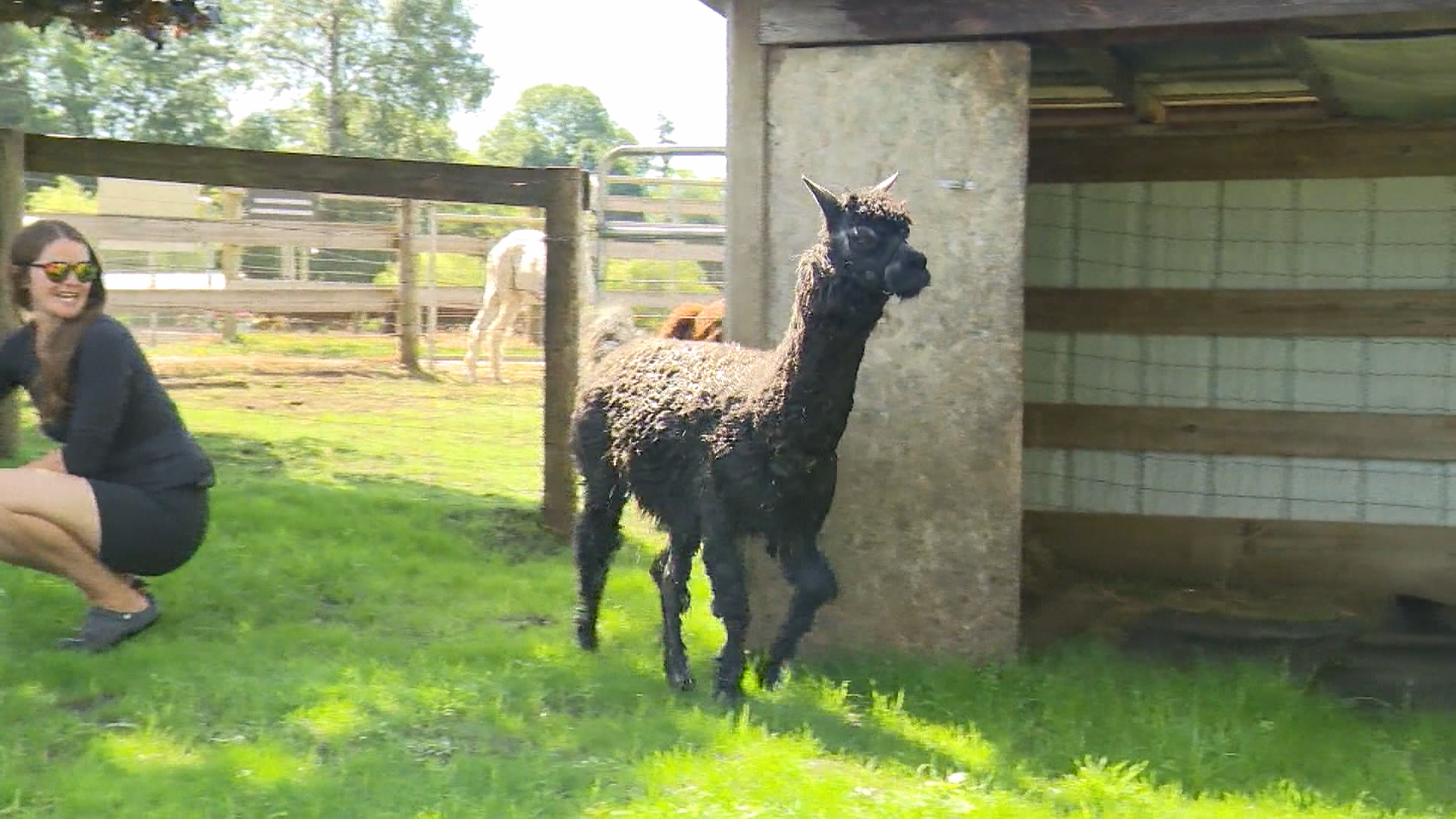 просто срамежлива от 28 ия й рожден ден жителка на