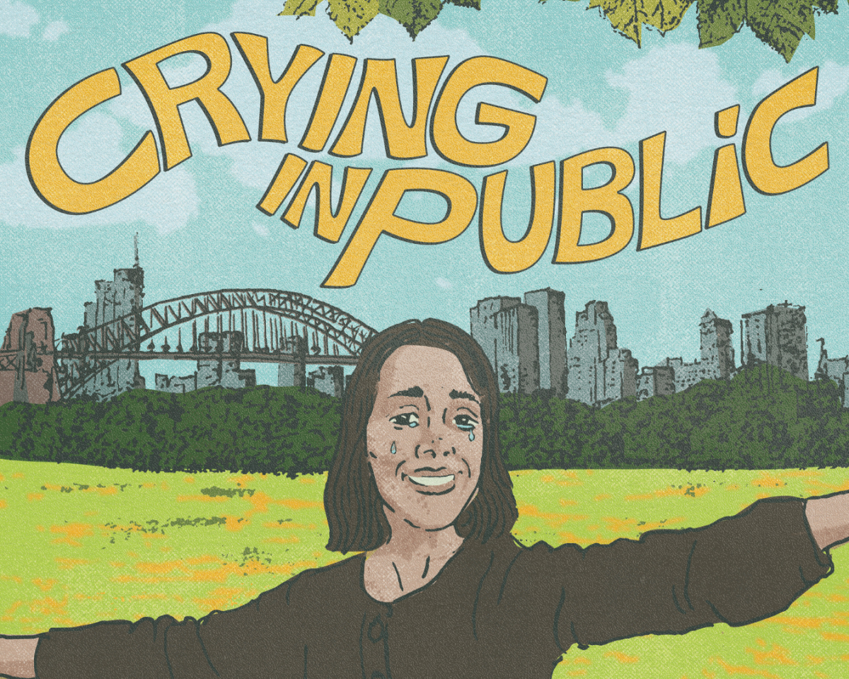 Crying In Public - image