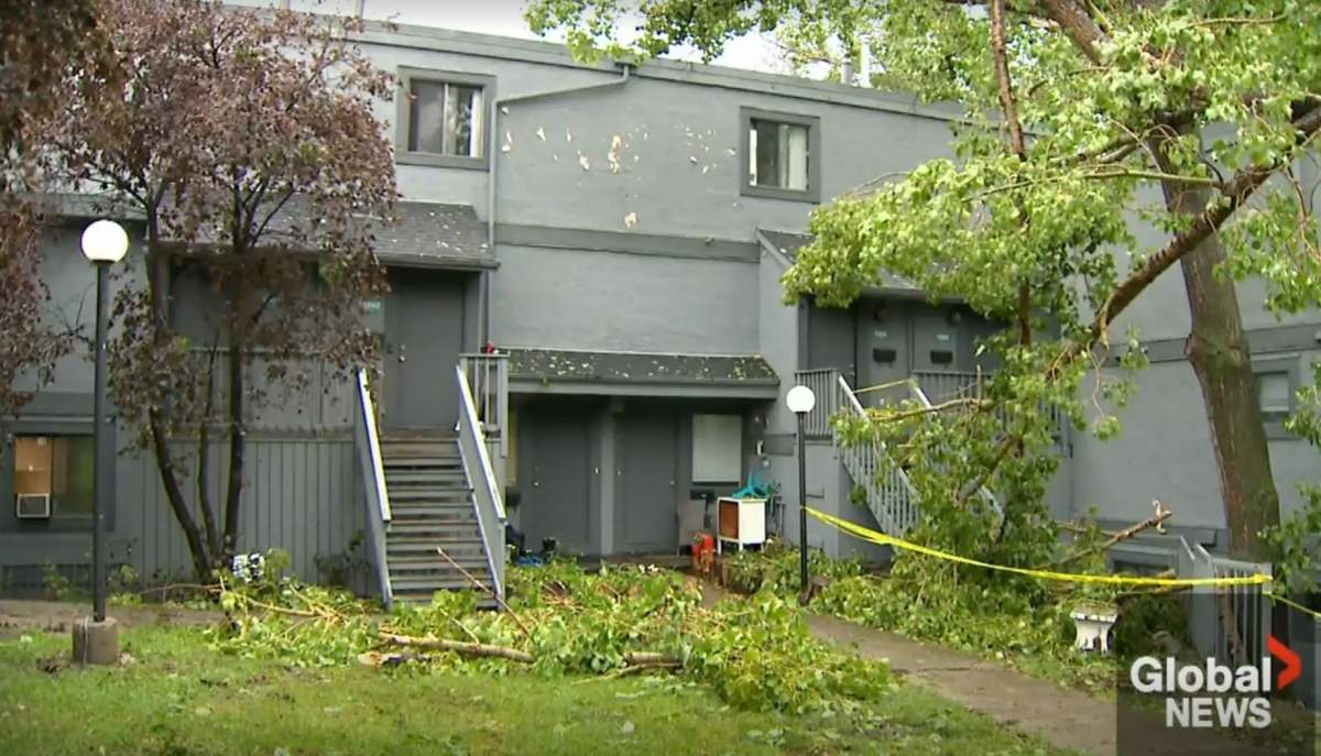 The July 13, 2025 storm that hit Calgary, pummeled cars with toonie sized hail, downed trees, flooded homes and damaged roofs and siding.