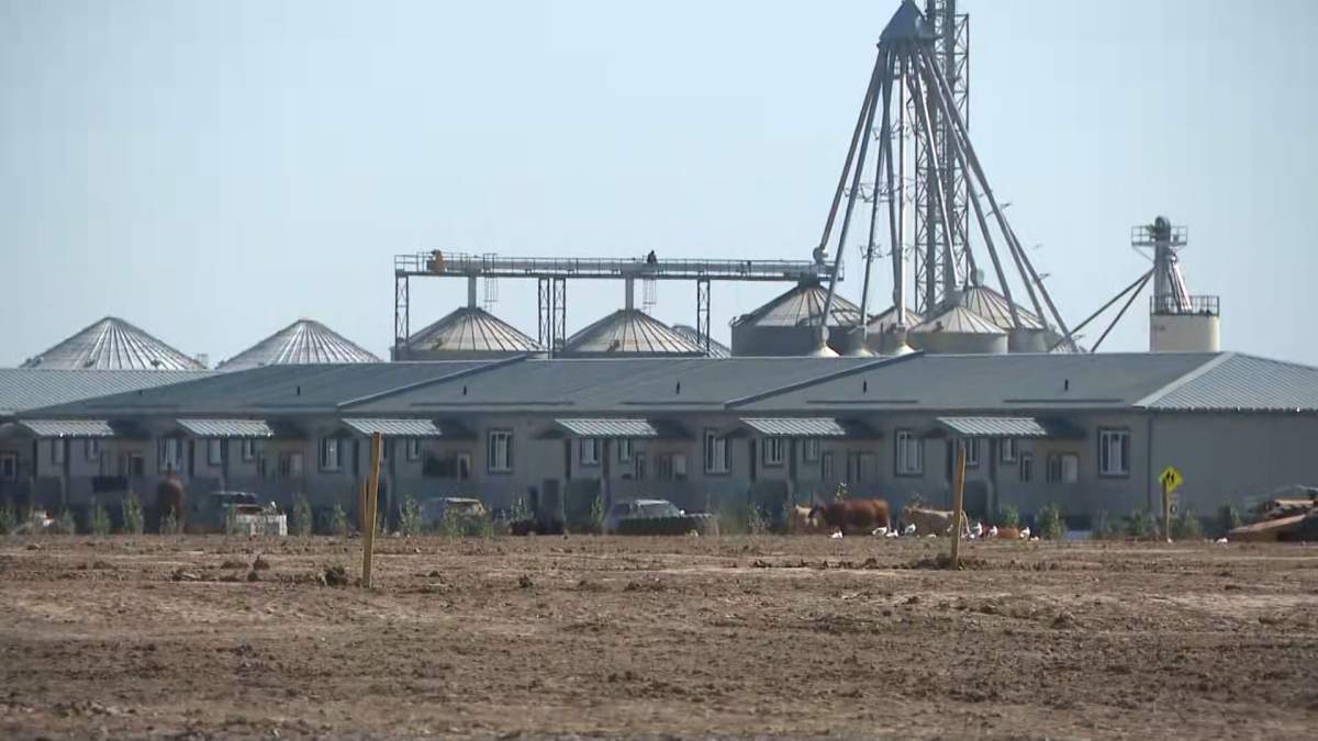 The Warburg Hutterite Colony is located about an hour drive southwest of Edmonton.