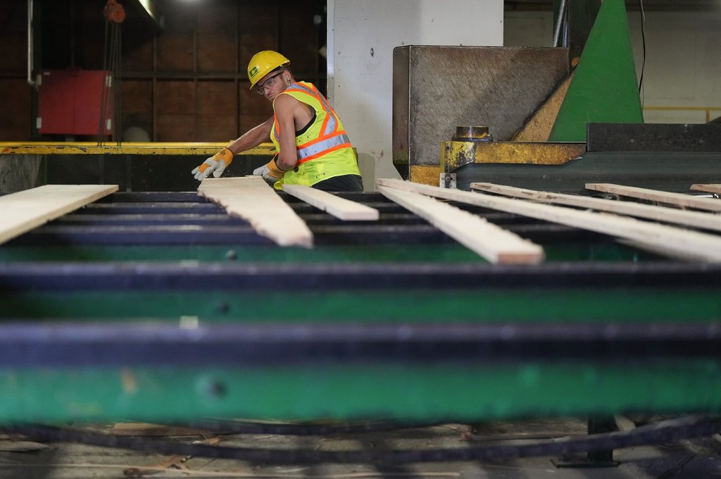 B.C.’s softwood lumber U.S. tariffs now higher than Russia’s: ‘Let that sink in’