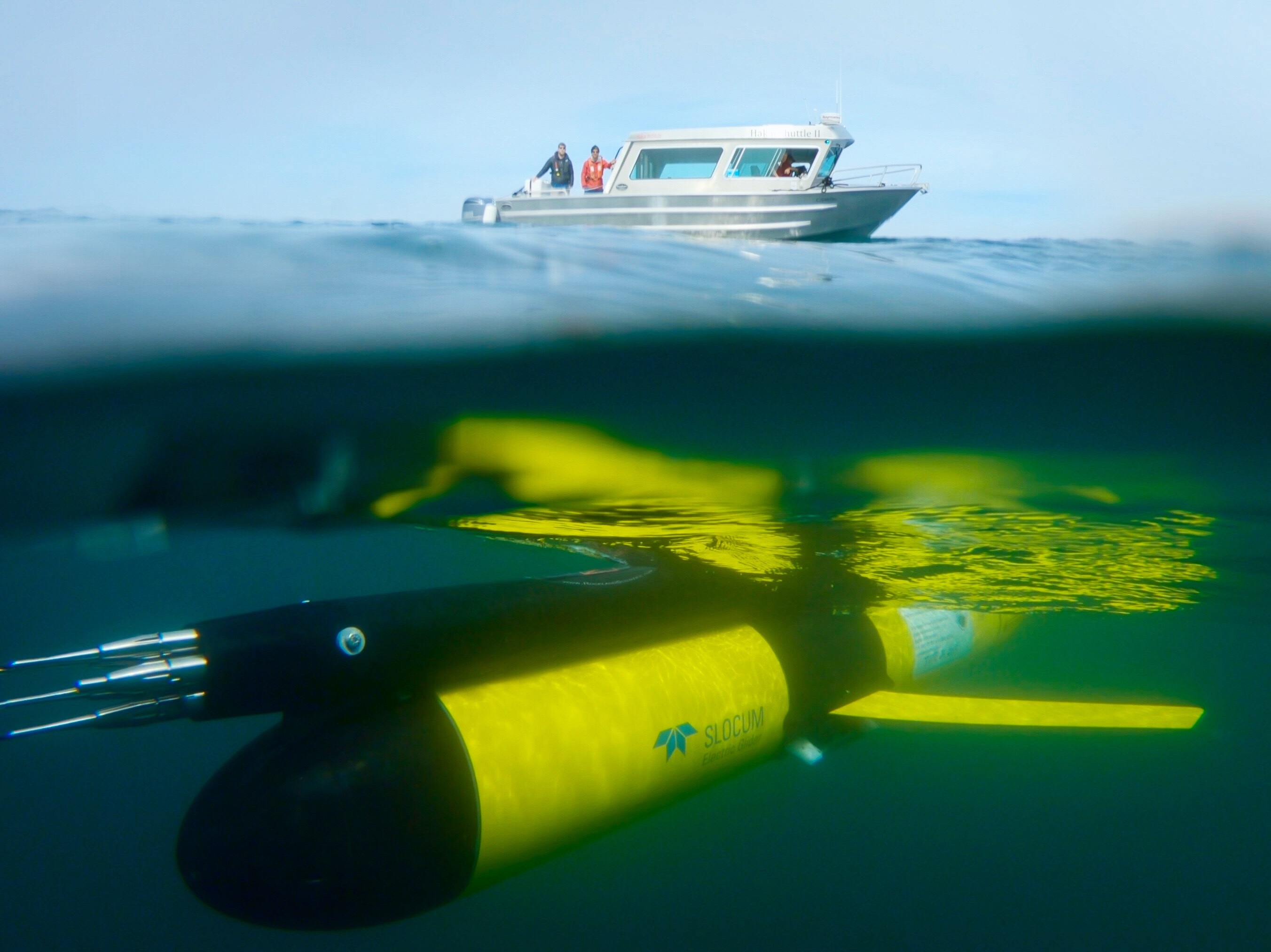 Изследователите са документирали тревожен спад на кислород във водите край