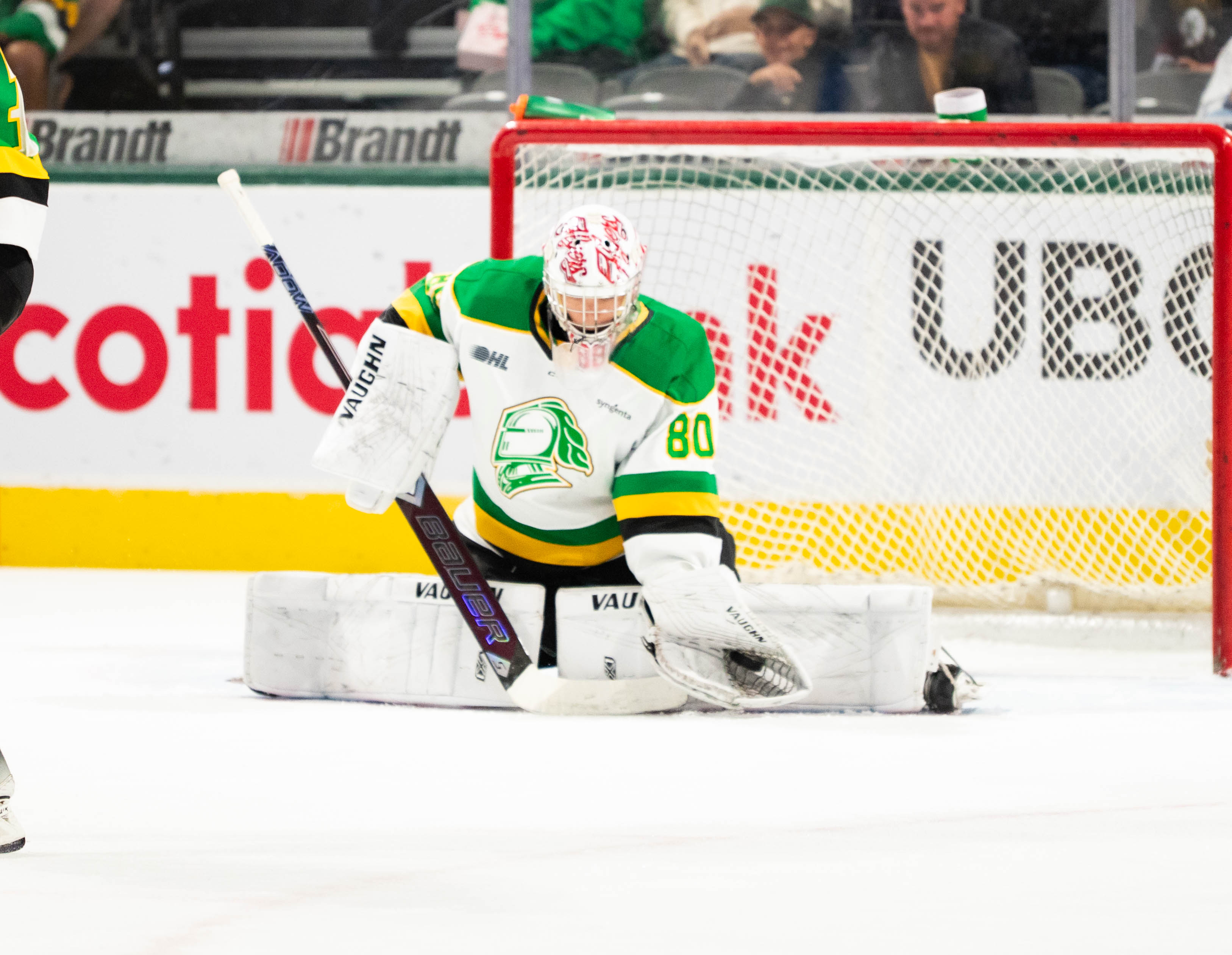 голове на Braiden Clark и Brody Cook и 29 Saves