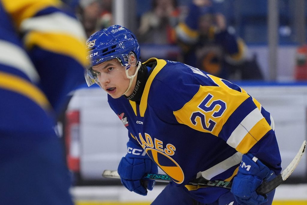 В продължение на няколко месеца Западната хокейна лига ще влезе