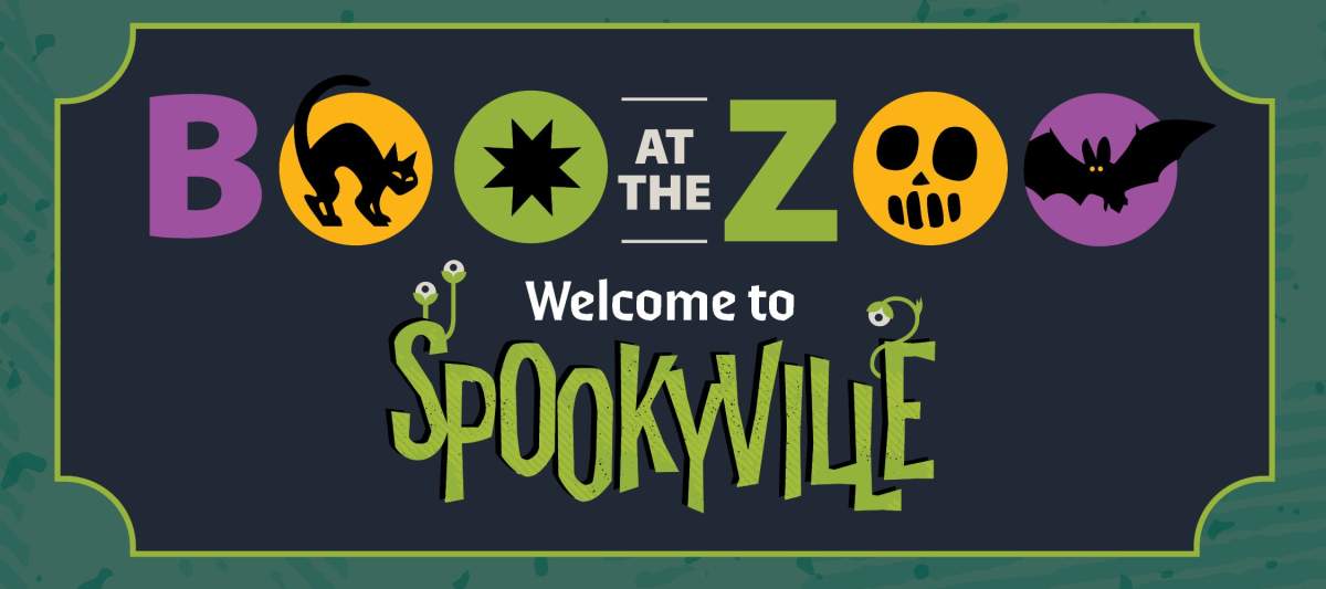 Boo At The Zoo - image