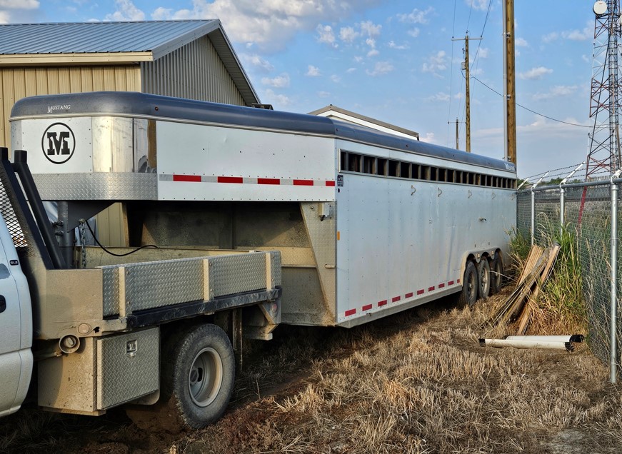 Two cowboys and a farm dog rounded up two bulls and got them into a livestock trailer in Coaldale, Alta. on Friday, Sept. 12, 2025.