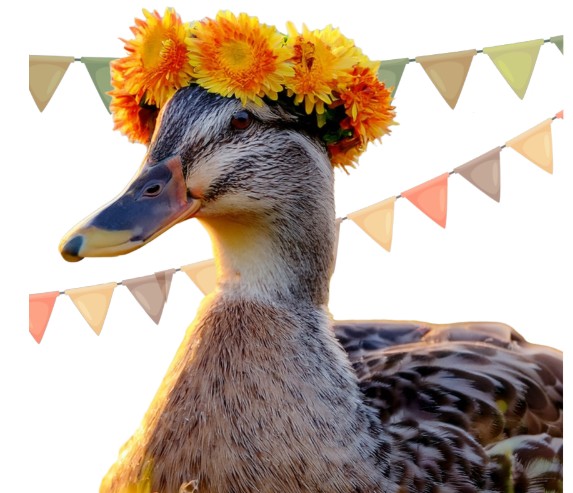Ducks Unlimited Canada Edmonton Annual Dinner & Auction - image