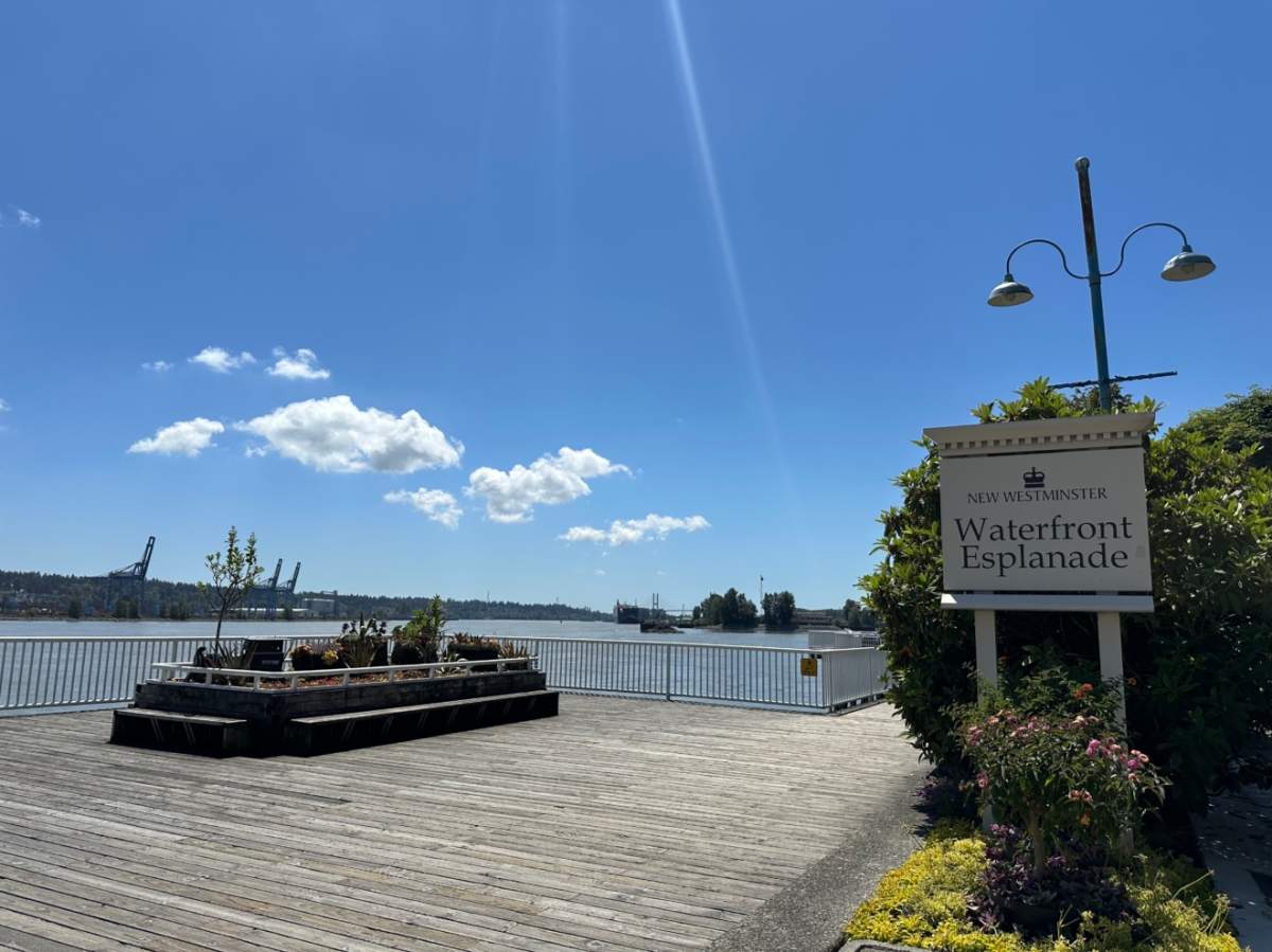 RiverFest 2025: Quayside Tour - image