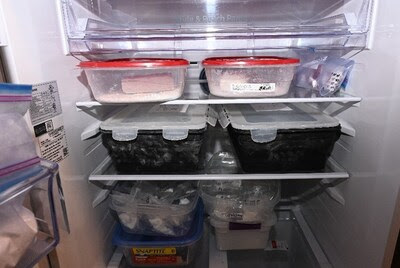 RCMP Ontario dark web bust