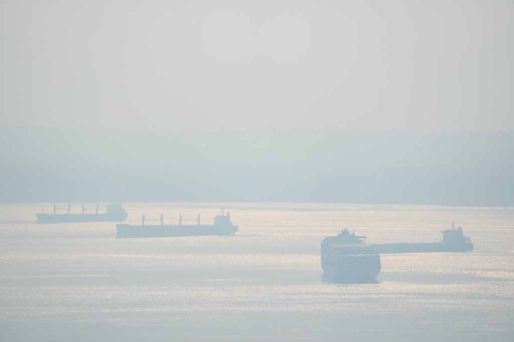 Може да се почувства че лятото се навива но дивите