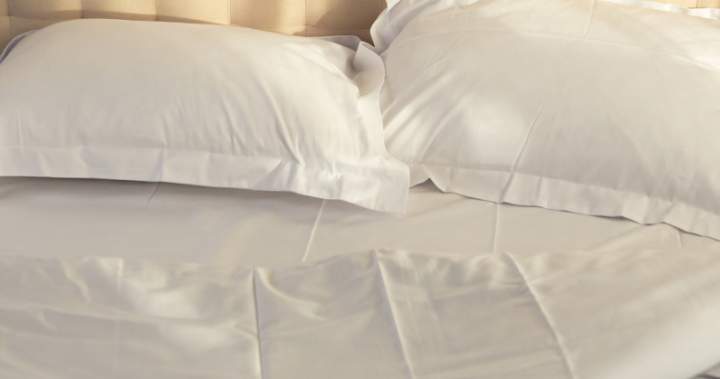 Кураторът независимо решава какви теми и продукти представяме Когато закупите