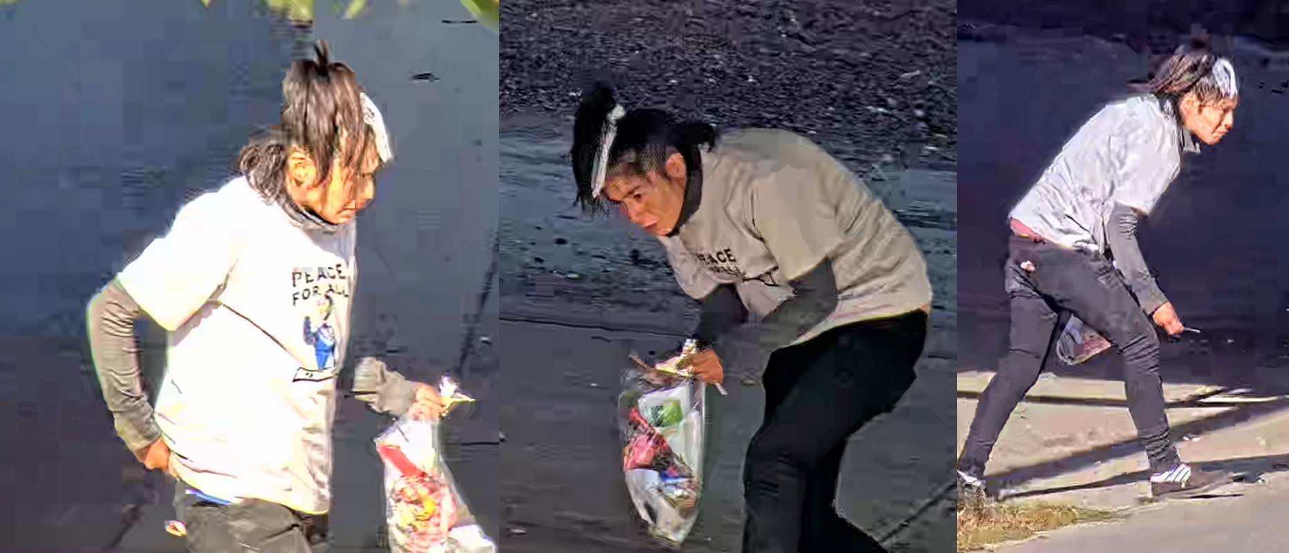 Калгари Полицията моли за помощ на обществото за да идентифицира