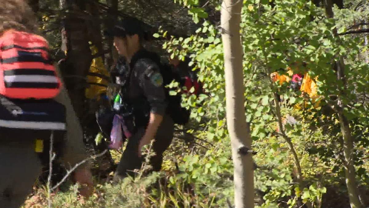 The terrain where the boy went missing is so mountainous and thickly forested that crews are forced to work shoulder to shoulder as they search the area.