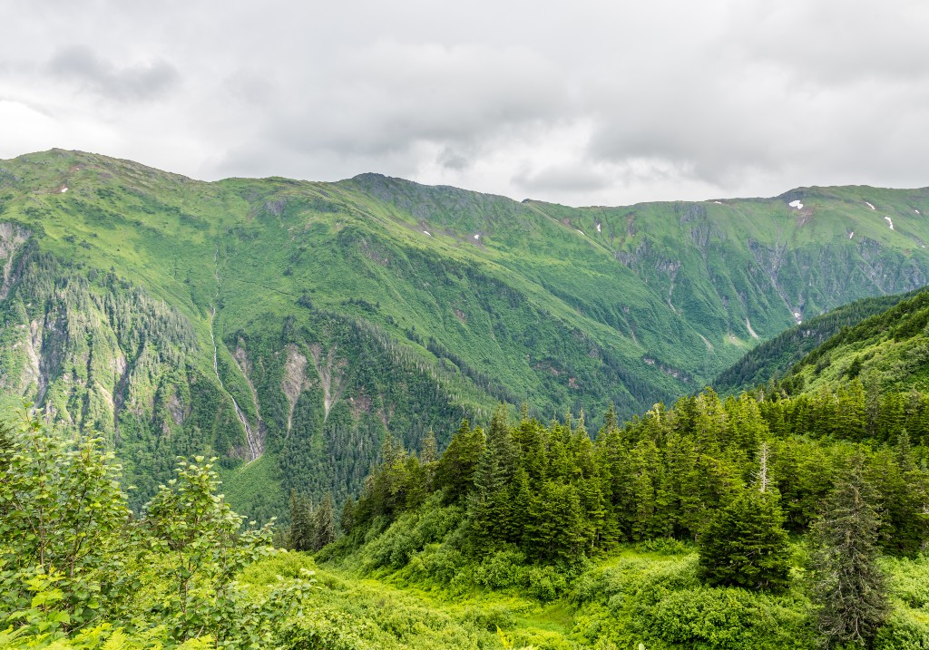 The view of forested mountain ridges can be found high up on Mount Roberts above Juneau, Alaska.
