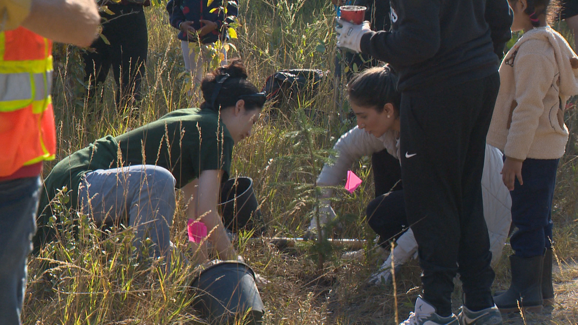 Calgary volunteers plant more than 300 trees at Edworthy Park