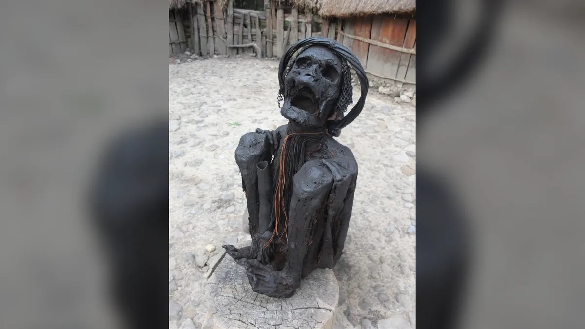 A modern day smoke dried mummy from the Dani people, Papua, Indonesia.