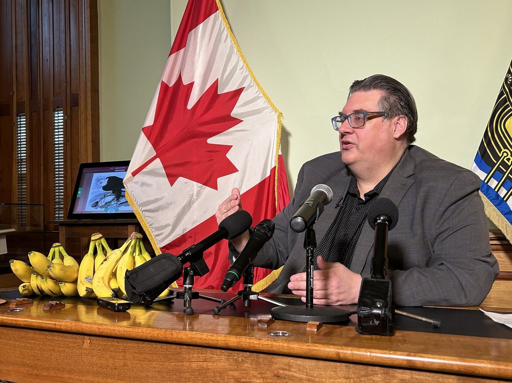Child, youth and seniors advocate Kelly Lamrock speaks in Fredericton, N.B., on Wednesday, March 13, 2024. THE CANADIAN PRESS/Hina Alam.