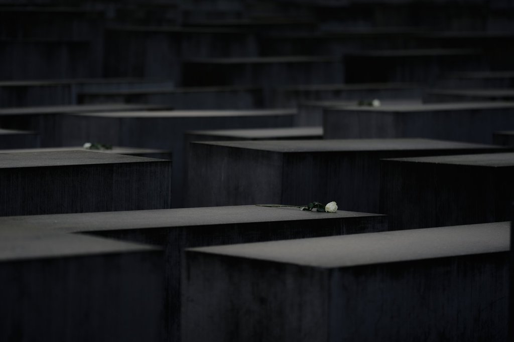 White roses lay on concrete slabs of the Holocaust Memorial in Berlin, Germany, Tuesday, Oct. 28, 2025. (AP Photo/Markus Schreiber).