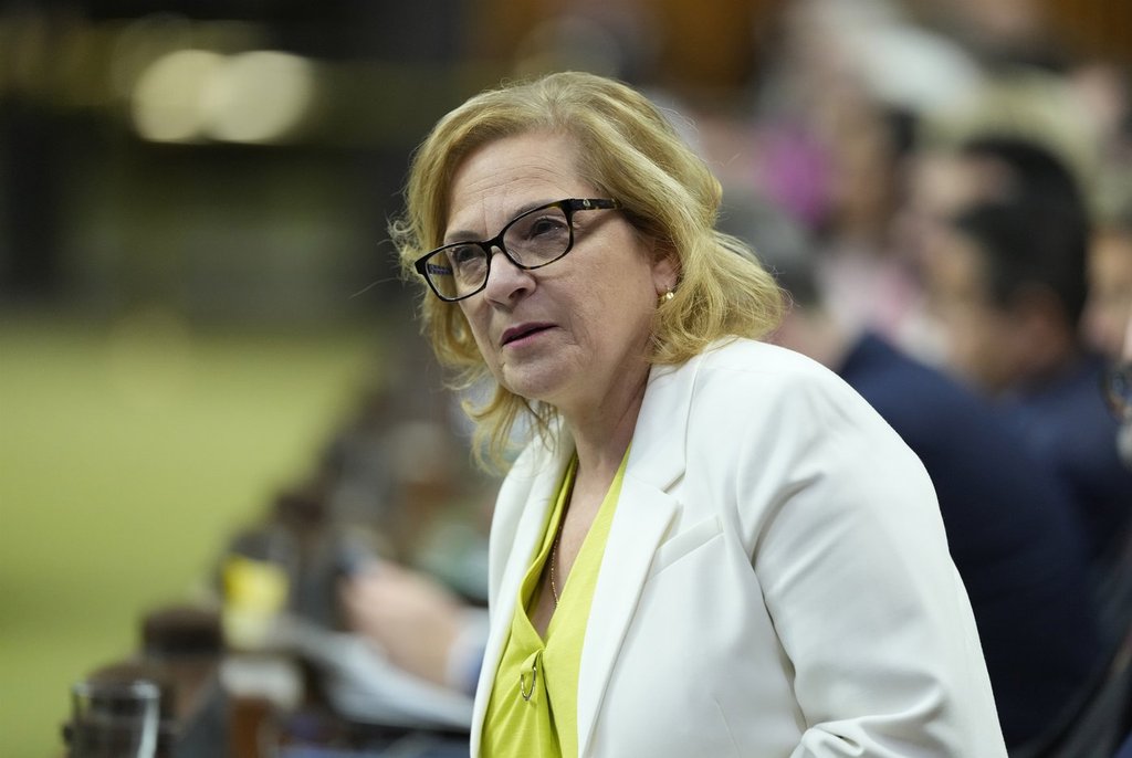 Immigration minister says bill’s trigger for new powers intentionally vague