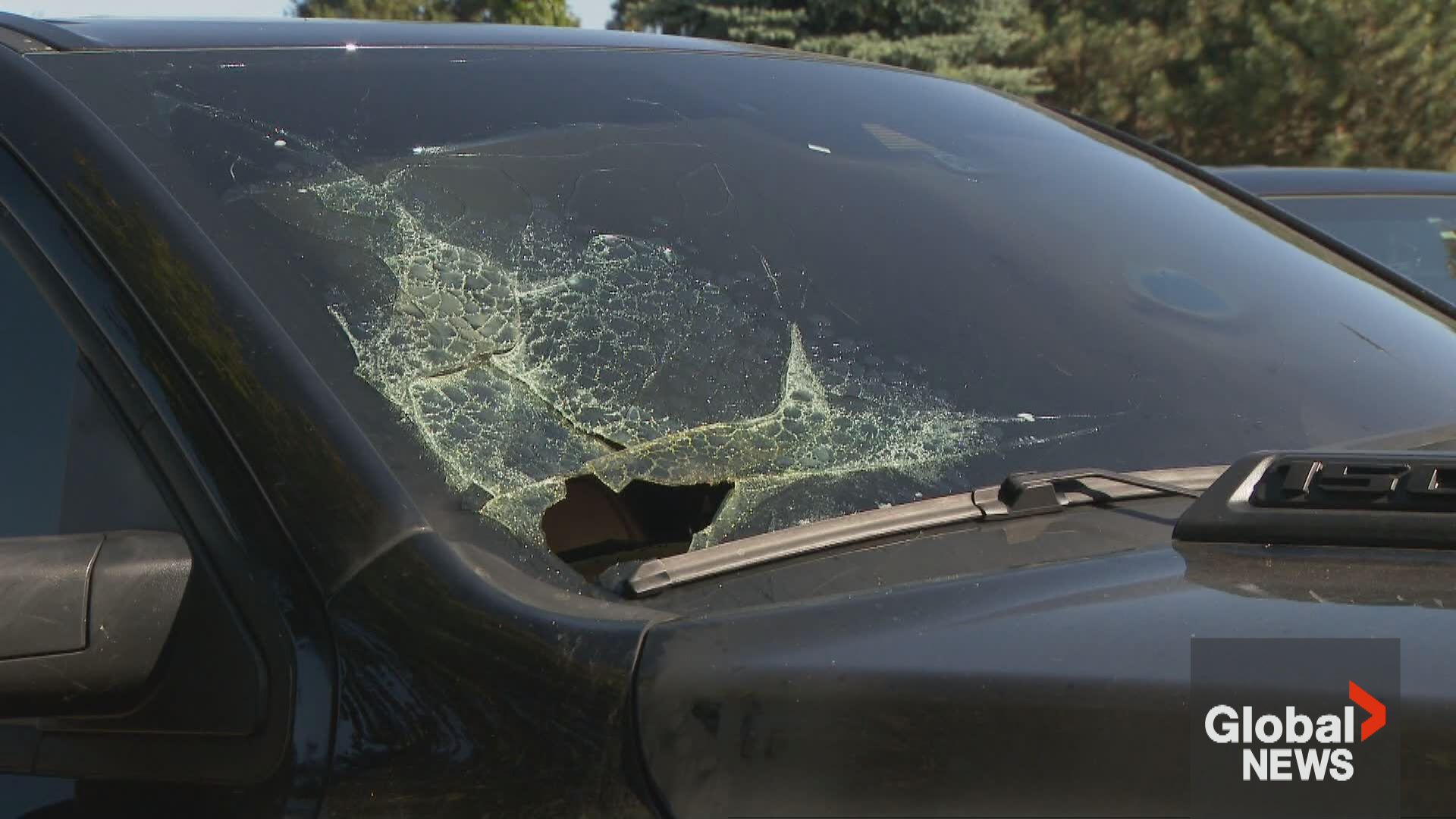 „Не в нито един рибен бизнес“: Брамптън човек обърка, шокиран след застреляна къща в 