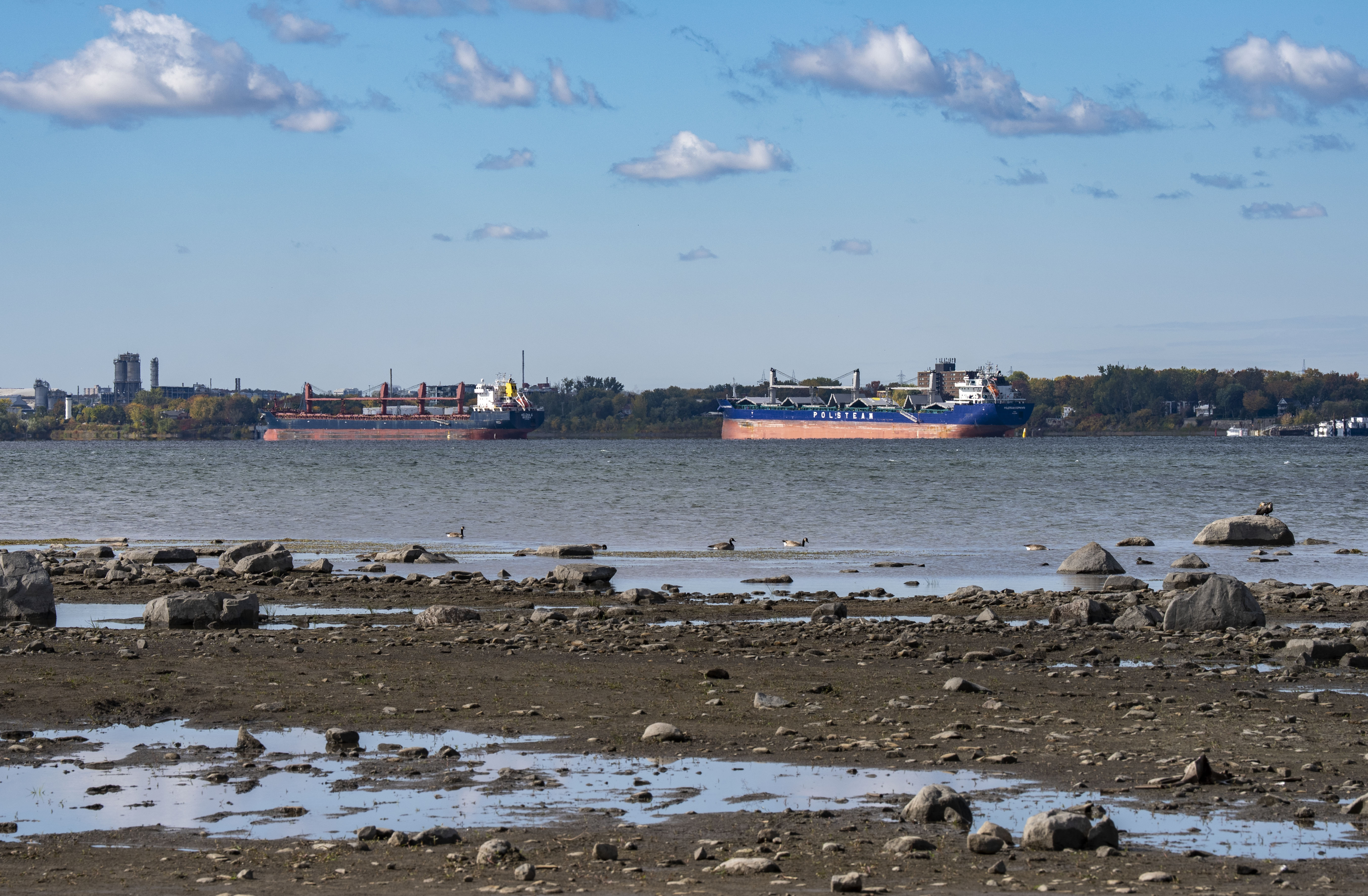 Low water levels on St. Lawrence River causing problems for marinas, shipping industry