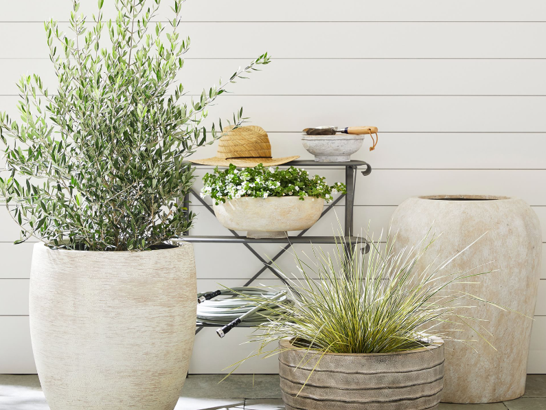 help your outdoor space stay stylish--and thriving.