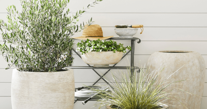 Кураторът самостоятелно решава какви теми и продукти представяме Когато закупите артикул