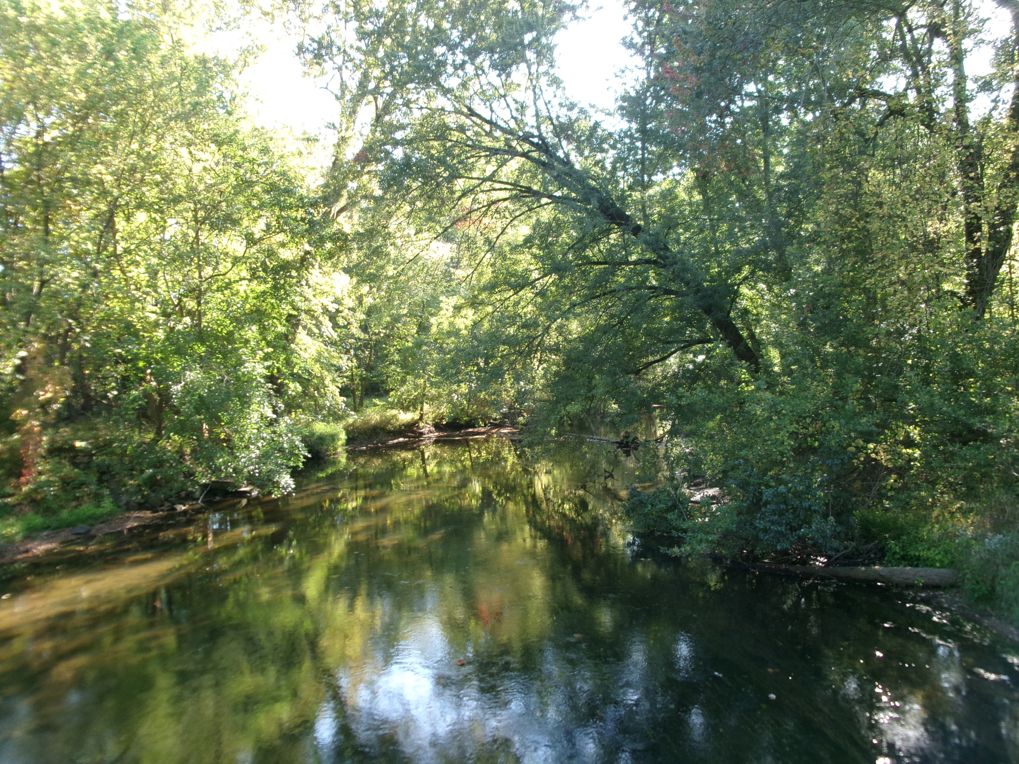 Човешки череп оценен на възраст над 4000 години е открит
