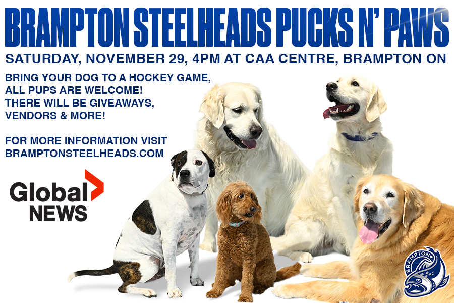 Brampton Steelheads Pucks N’ Paws - image