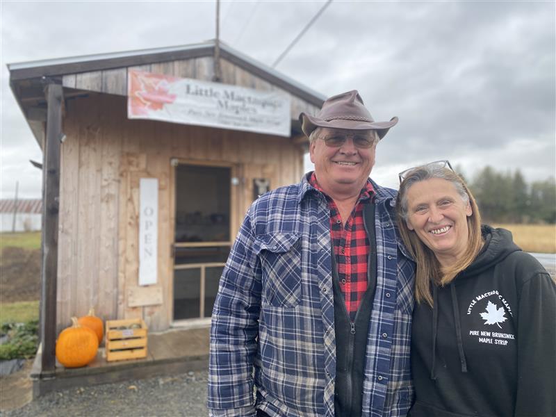 След необичайно сухо лято производителите на кленов сироп в региона