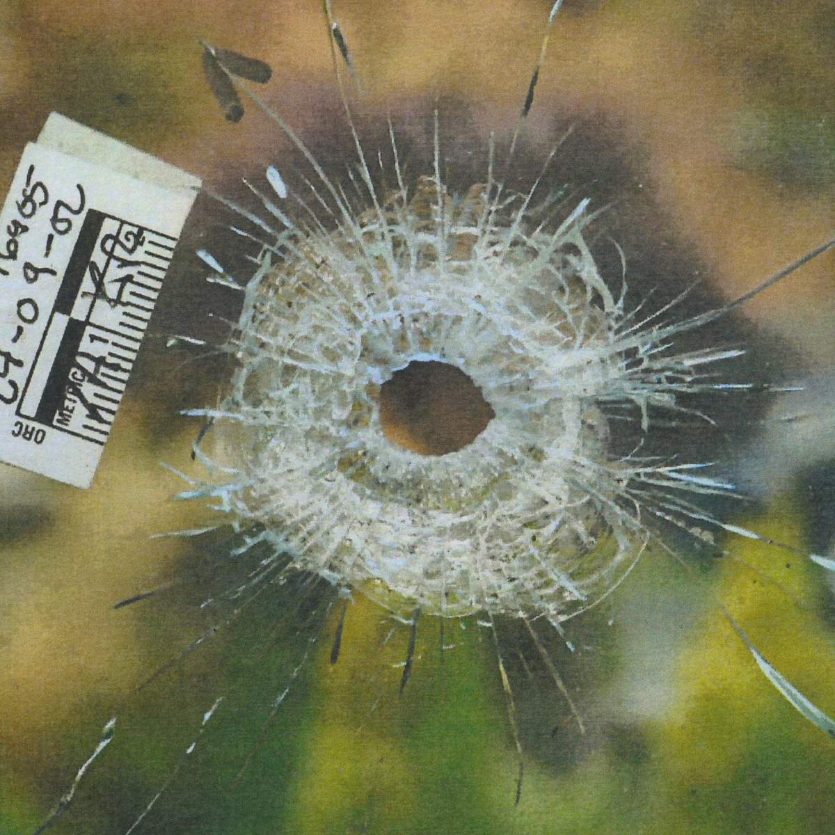 Crime scene photo shows bullet hole in window of home targeted by Bishnoi gang foot soldier Abjeet Kingra, Sept. 2, 2024.