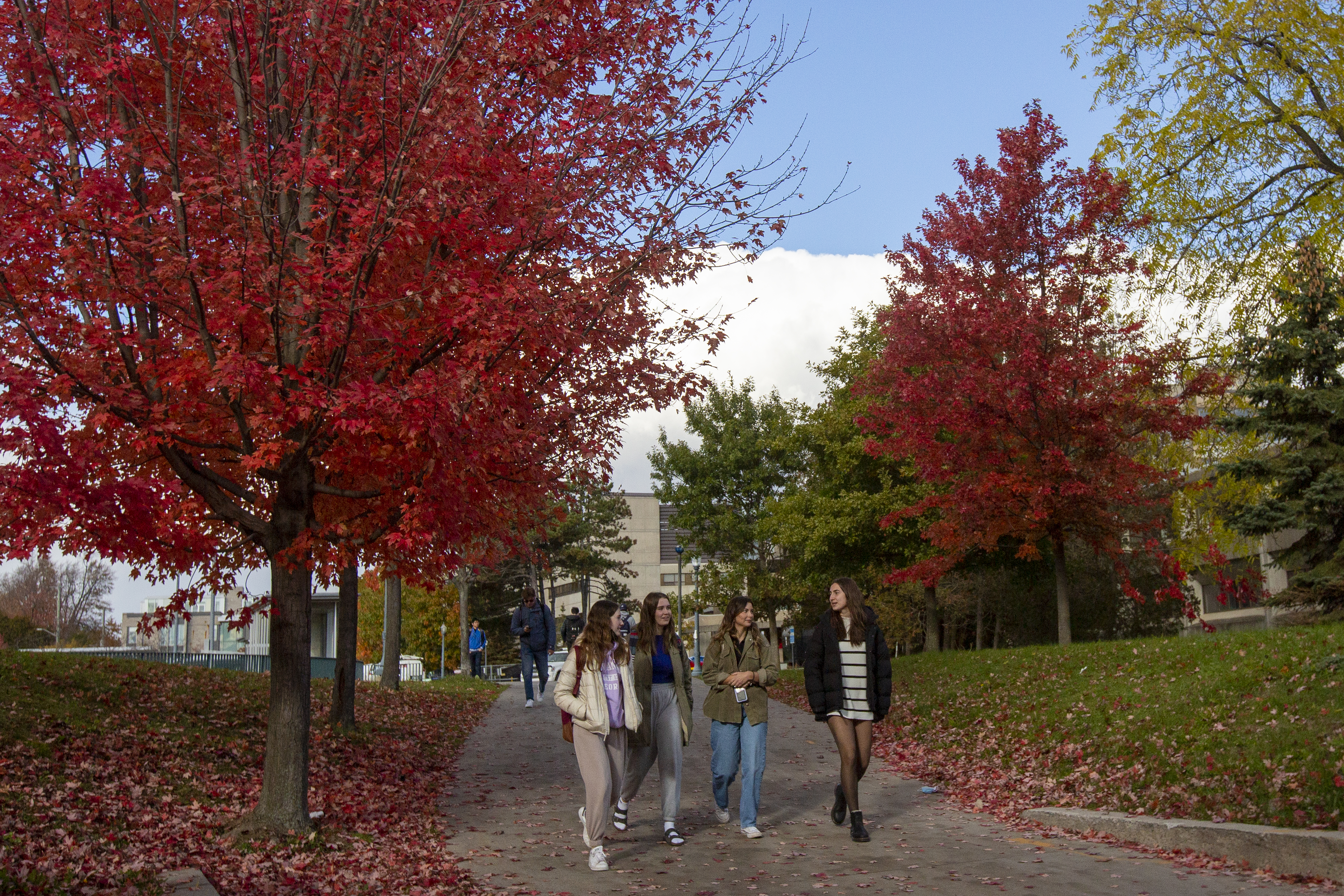Ограничението на Канада за приема на чуждестранни студенти в страната