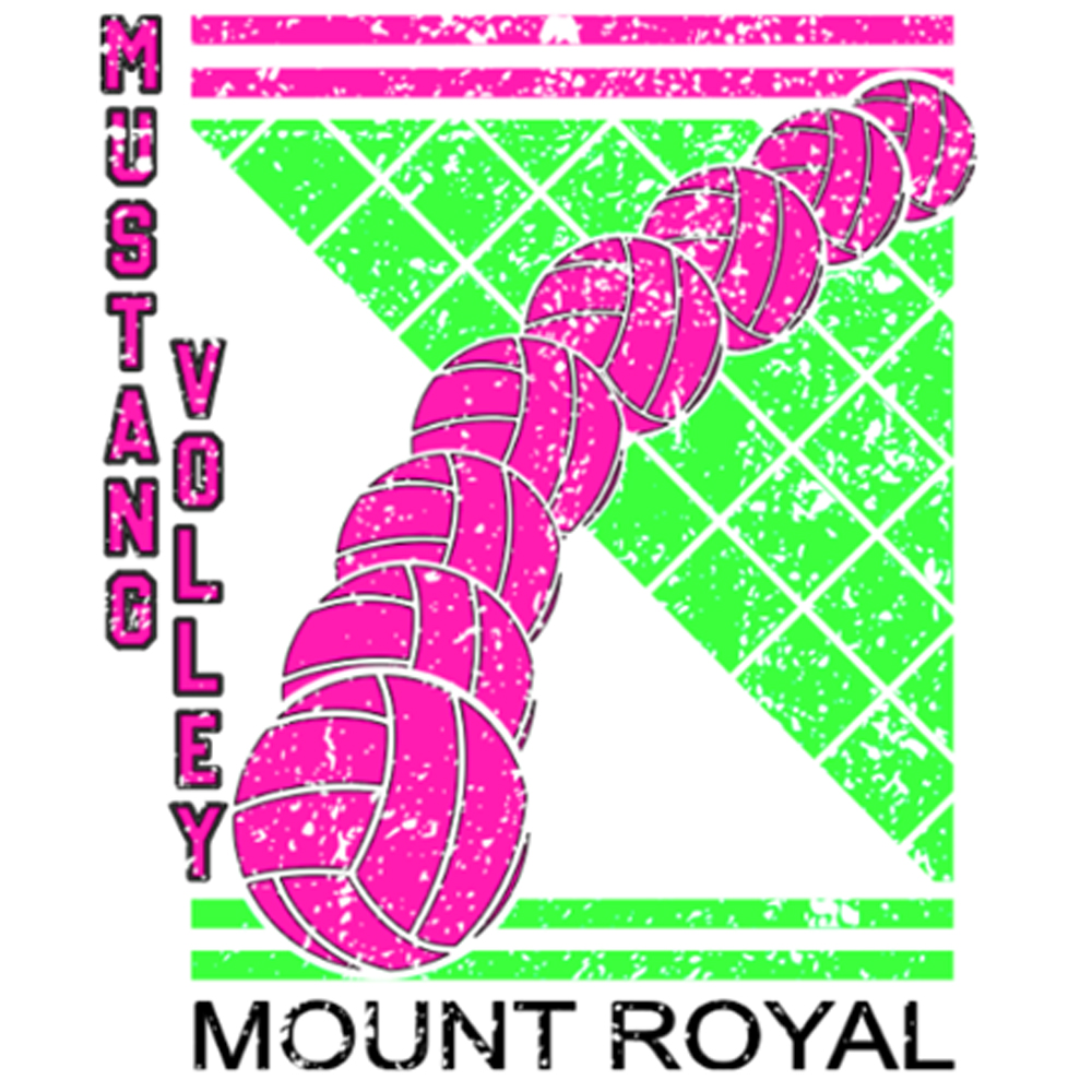 Mustang Volley proudly supported by Global Saskatoon - image