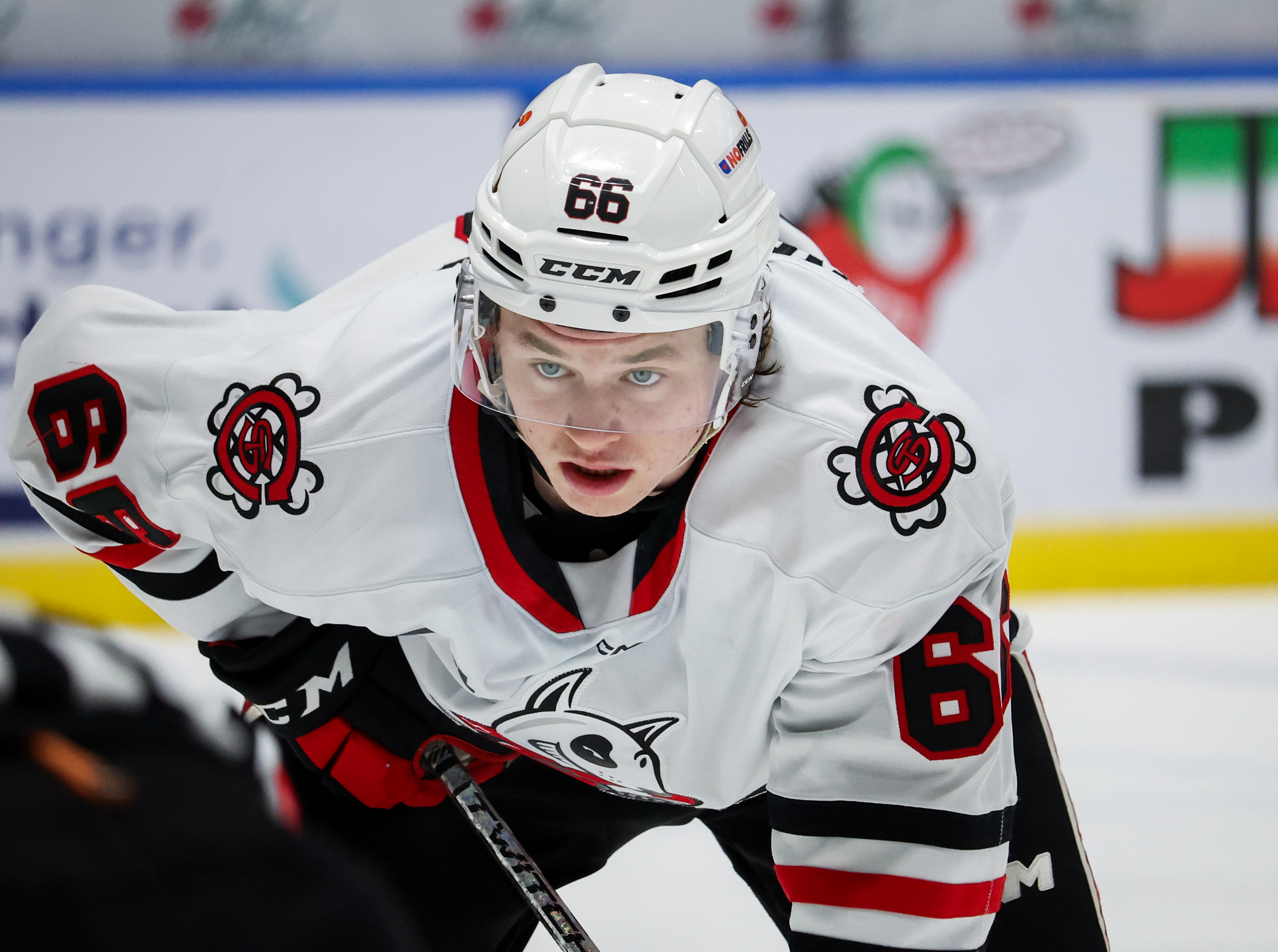 London Knights сключиха сделка с Niagara IceDogs за придобиване на