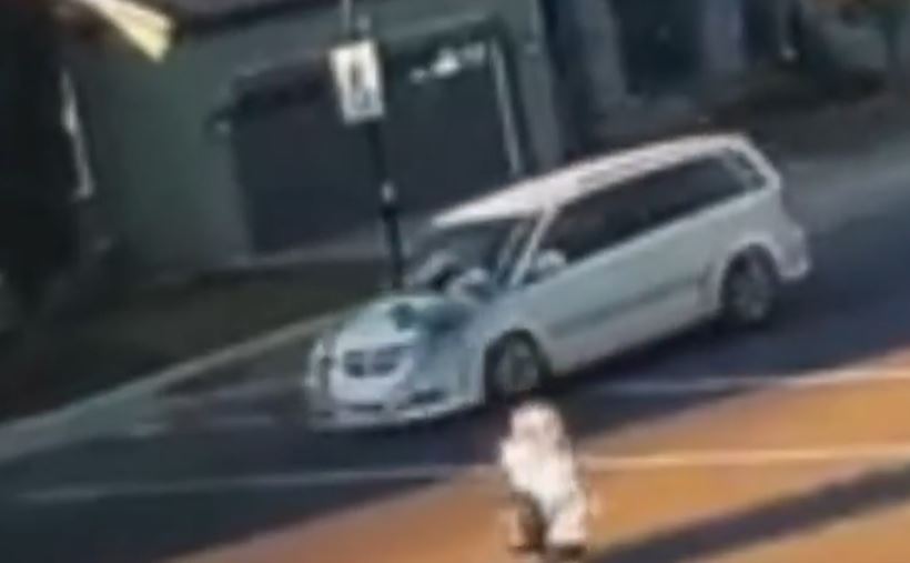 RCMP казва че са повдигнати обвинения срещу мъж от Airdrie