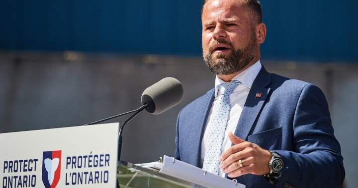 Министърът на труда Дейвид Пичини е изправен пред призиви да