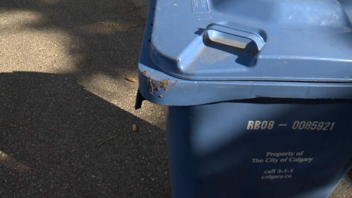 Oakridge residents say the bear was getting into garbage, recycling and compost bins looking for food.